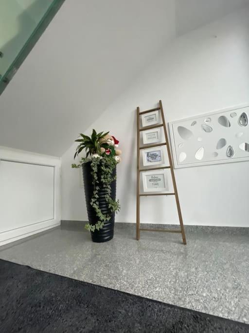 Apartament Timisoara 6 エクステリア 写真