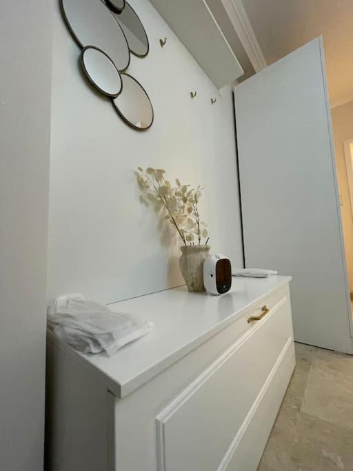 Apartament Timisoara 6 エクステリア 写真