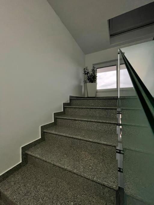 Apartament Timisoara 6 エクステリア 写真